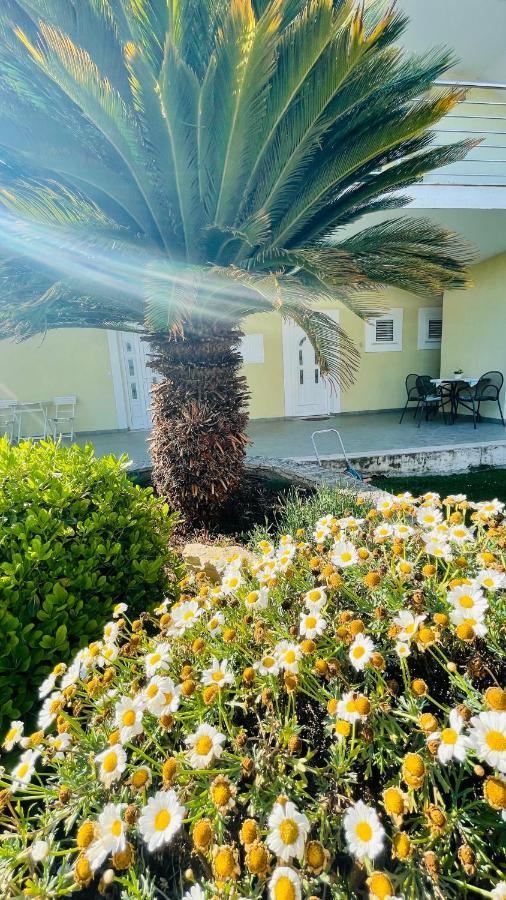 Apartament Maestral