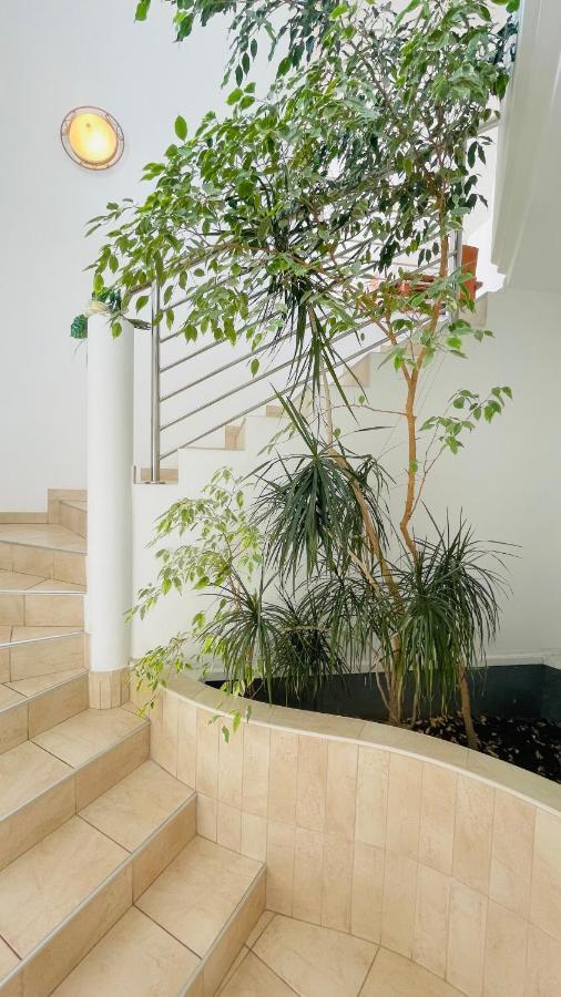 Maestral Apartment *